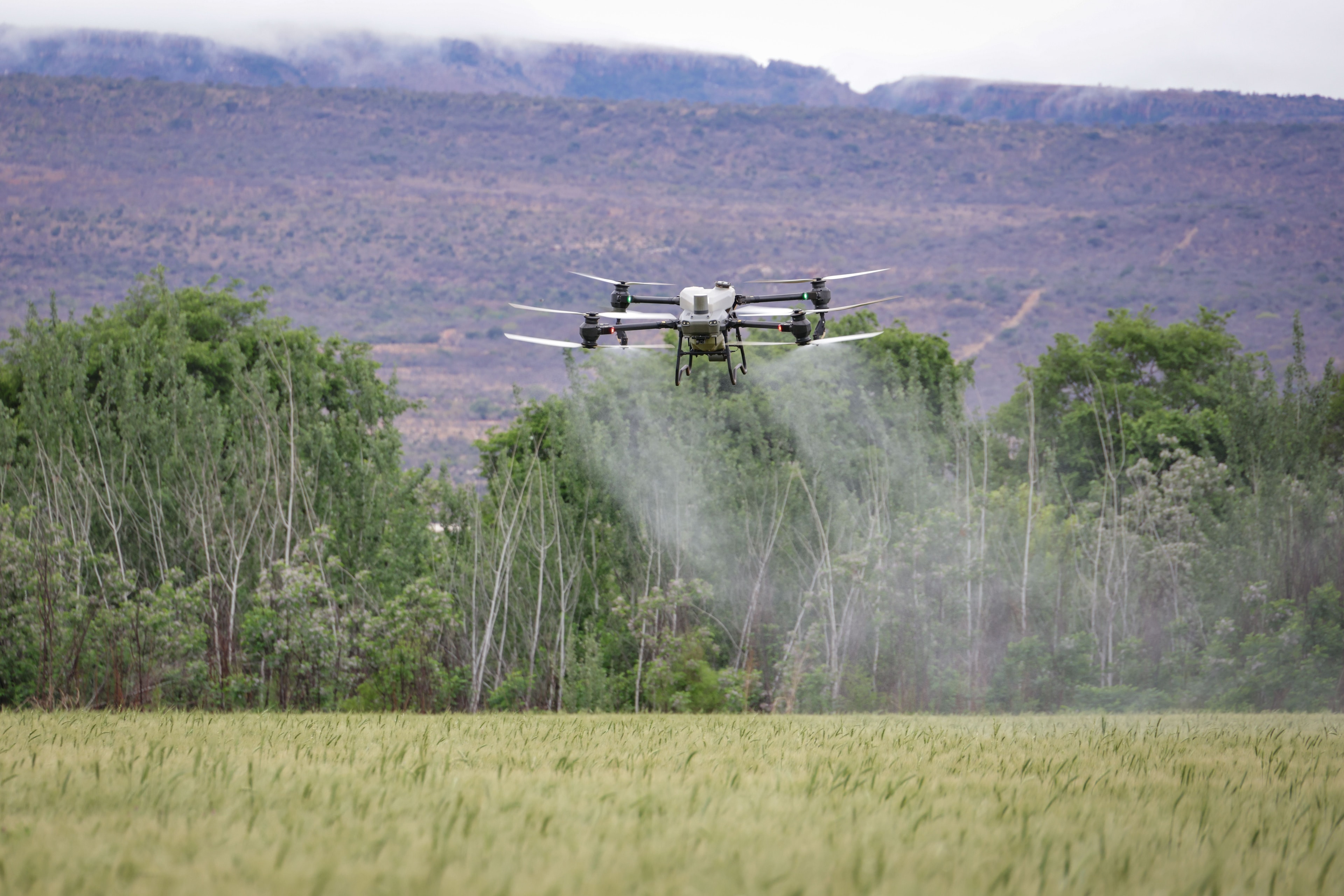 Brasil abre três novos mercados para produtos agropecuários