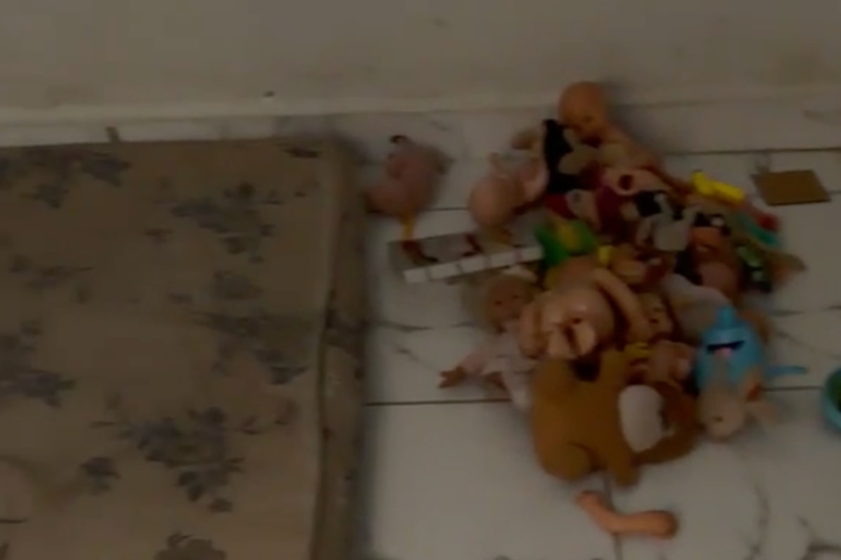 Menino de 10 anos denuncia pai e salva três irmãos de cativeiro em GO. Veja vídeo