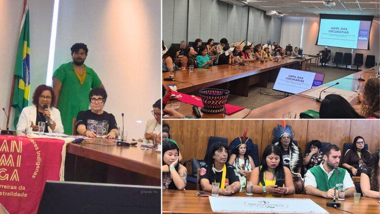 MPI e Ministério das Mulheres apresentam avanços na construção de política para mulheres e meninas indígenas