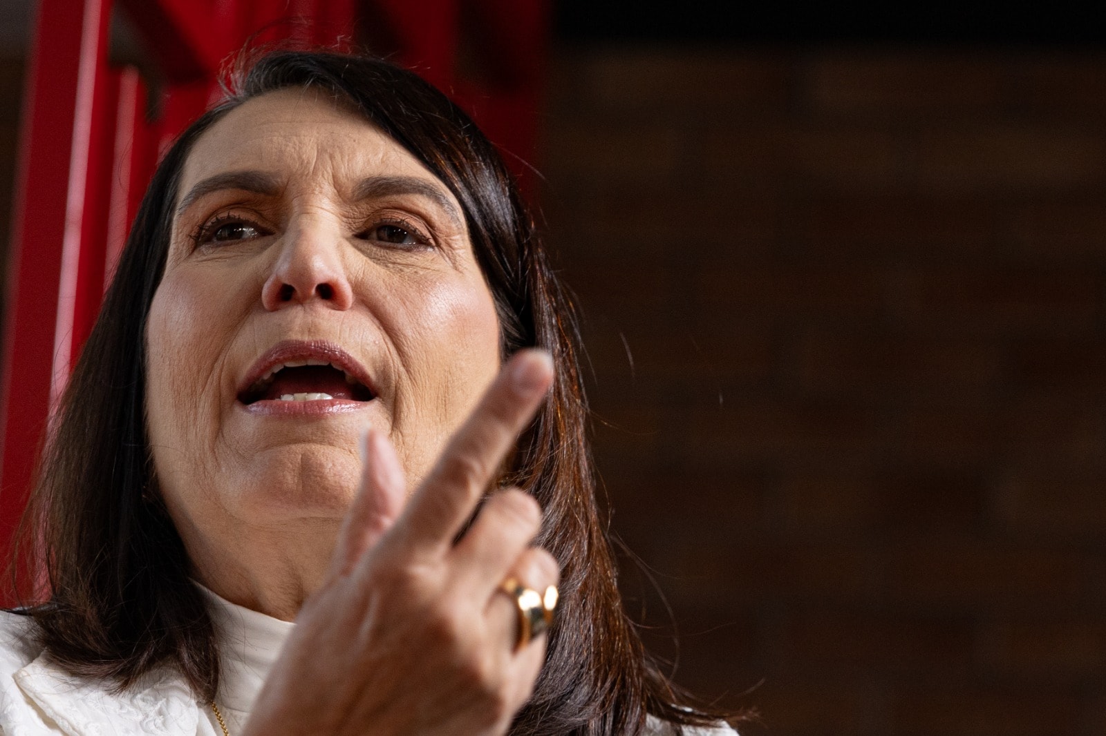"Quem está nos dividindo é Alexandre de Moraes", diz Bia Kicis