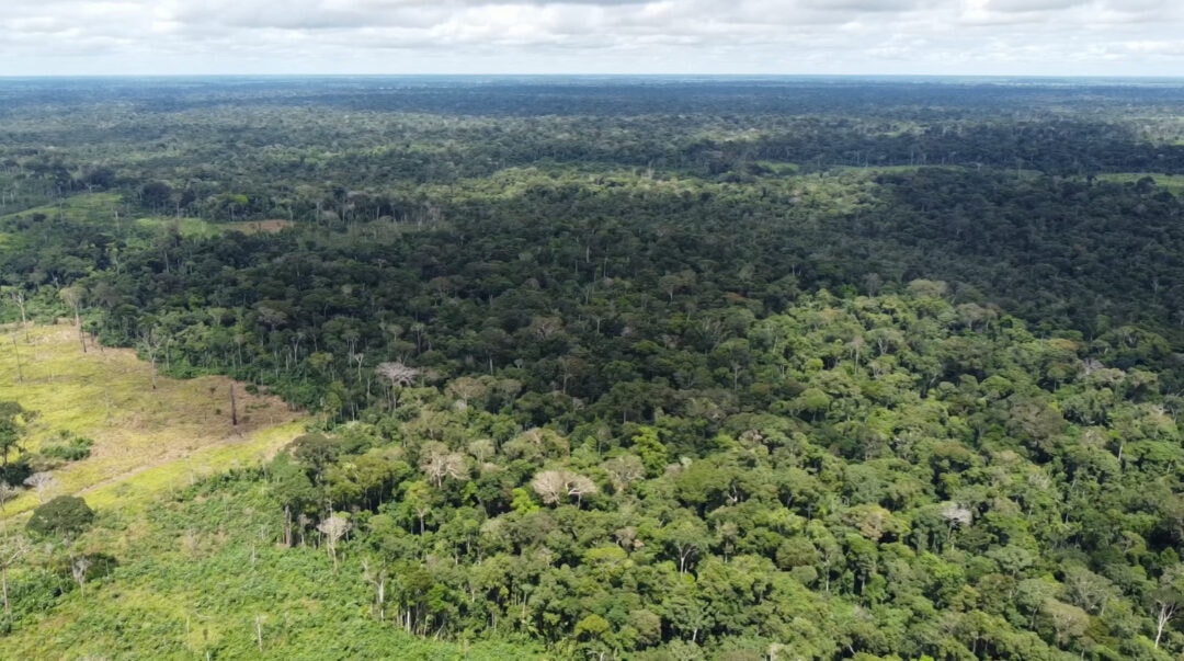 MIDR anuncia planos de desenvolvimento para a Faixa de Fronteira na Amazônia
