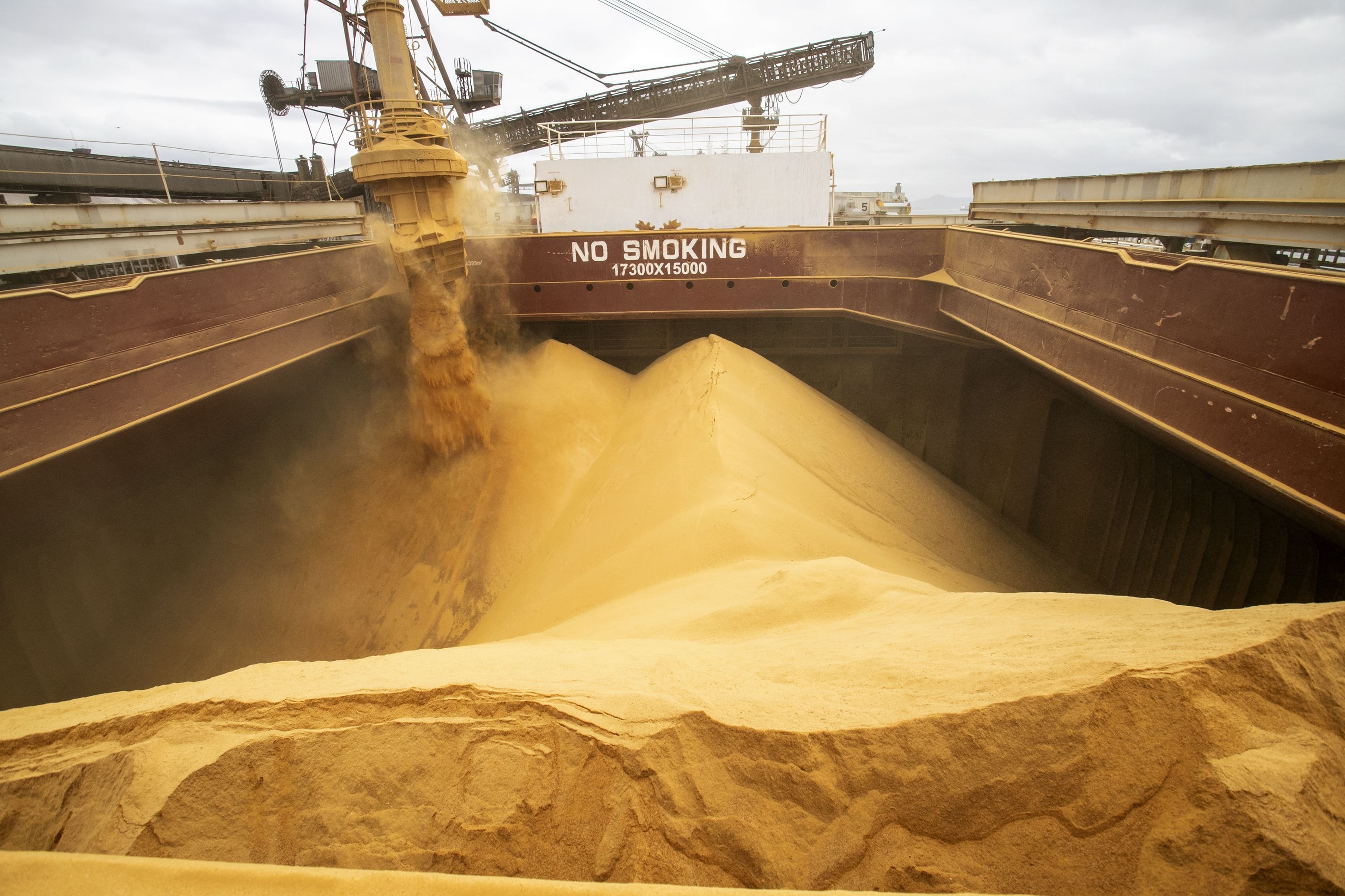 Anec mantém previsão de exportação recorde de soja do Brasil em 2026