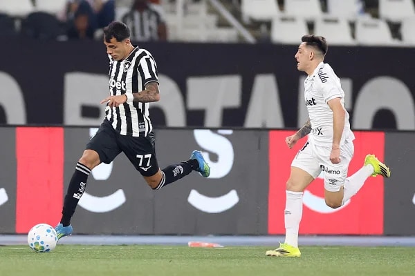 No retorno do Brasileirão, Botafogo marca no fim e derrota o Santos
