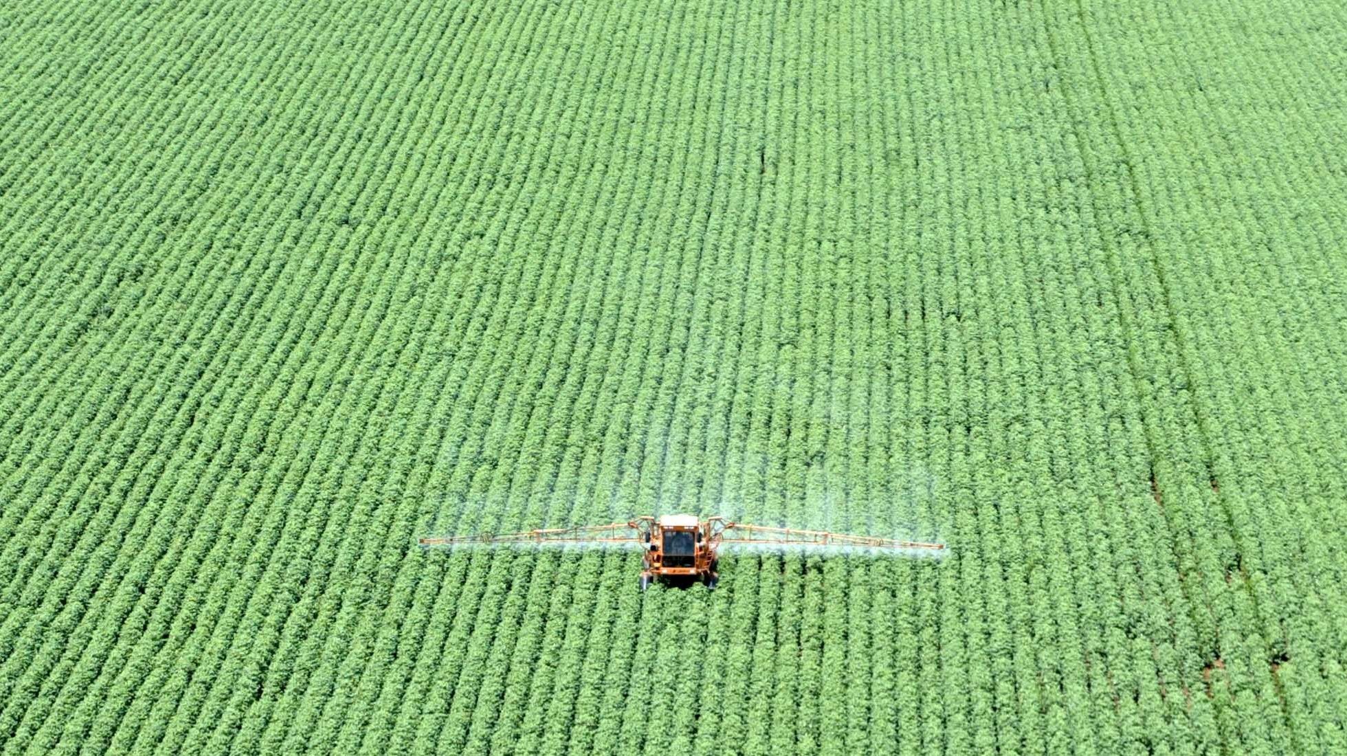 El Niño ameaça safra asiática e eleva preocupações alimentares