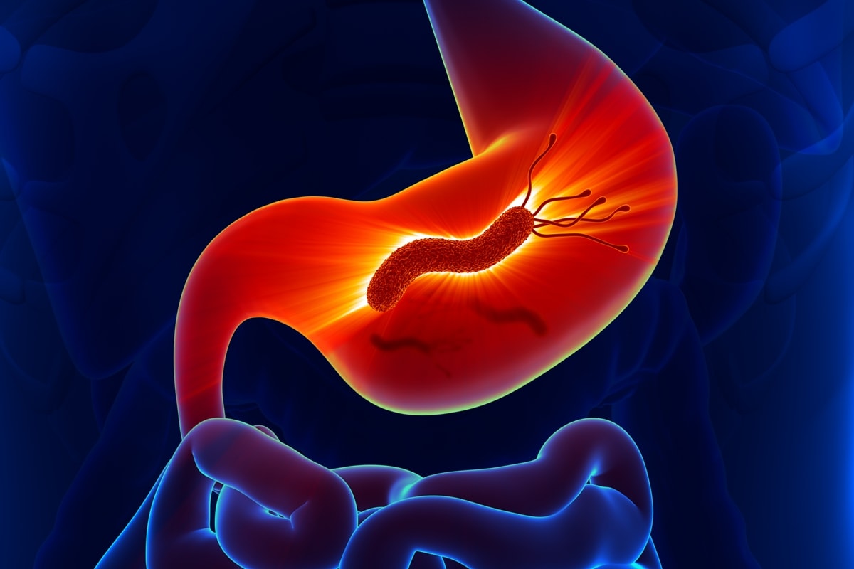 Médica explica se H. pylori pode ser transmitida por água e alimentos