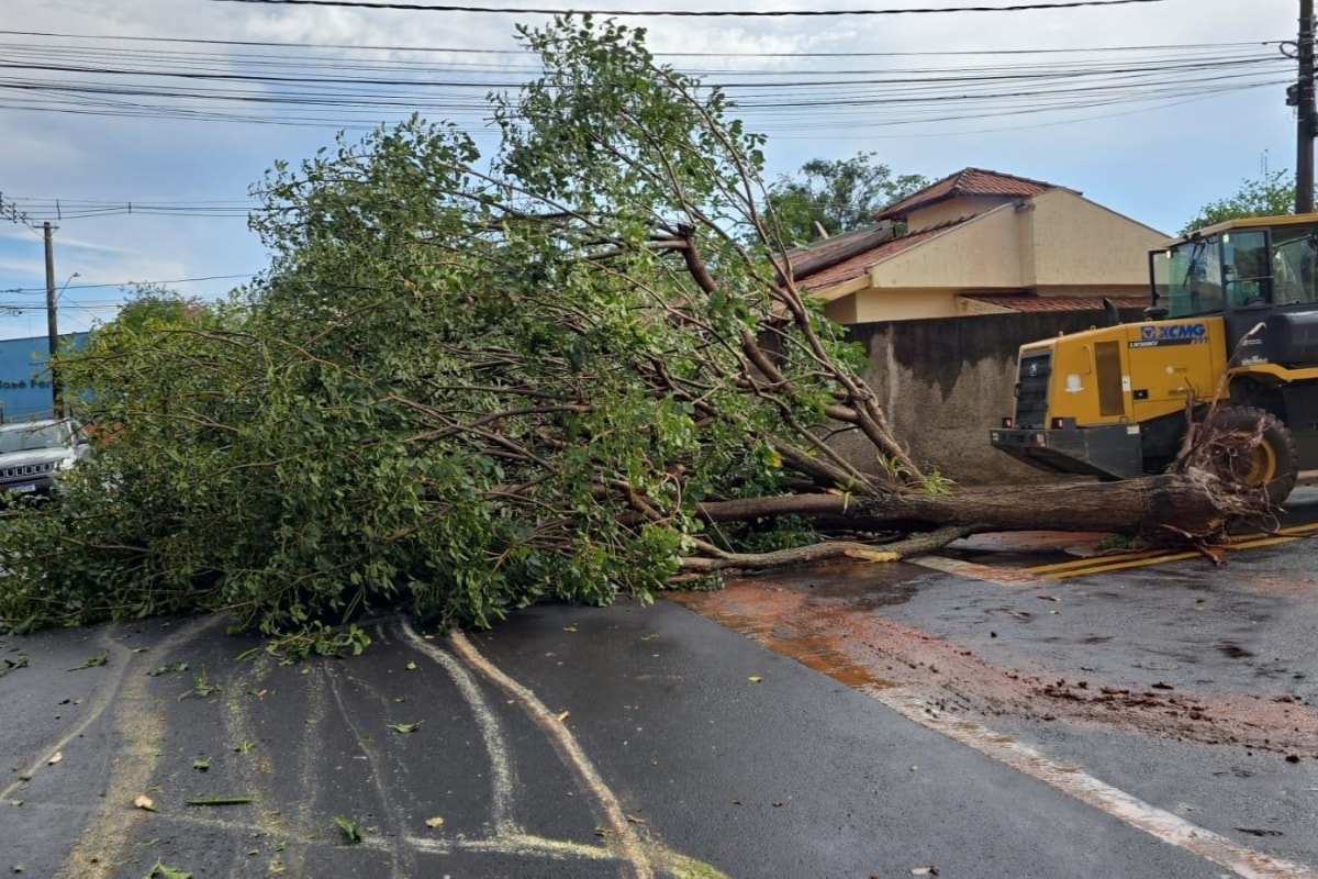 Cidades da Zona da Mata (MG) estão sob alerta de vendaval; veja lista