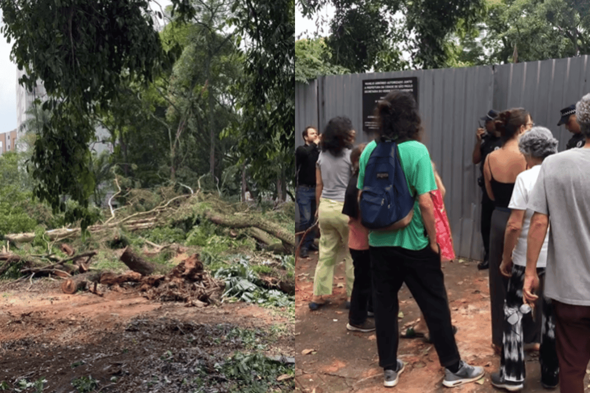 Justiça libera continuação de obra que derrubou 118 árvores em bosque de SP