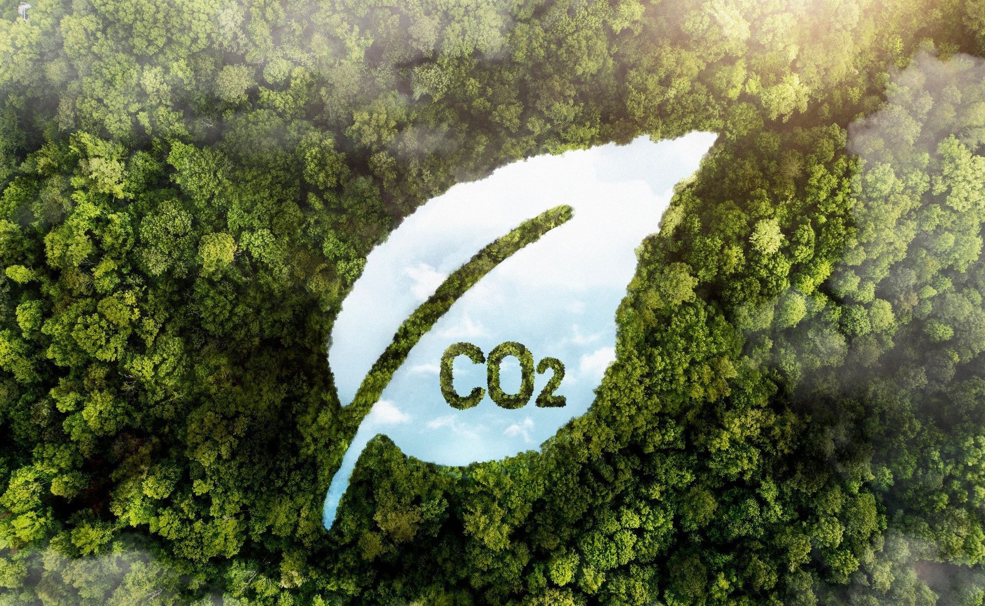 Eco Invest atrai R$ 30 bilhões mas enfrenta entraves no desembolso