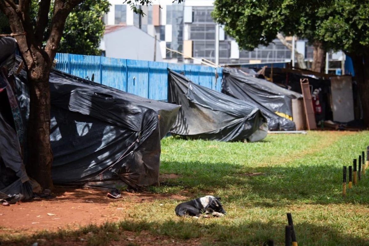 Aprovado PL que permite "internação humanizada involuntária" no DF