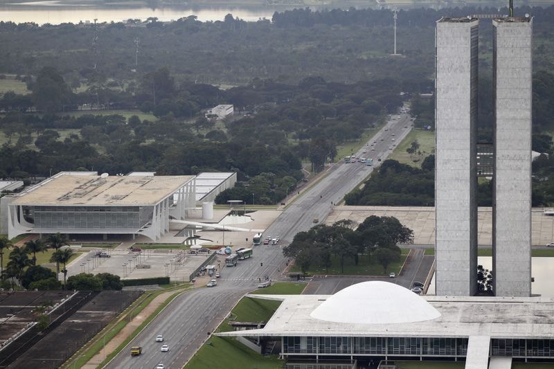 Brasil é 3º país com mais pets e setor prevê faturar R$ 81 bilhões em 2026