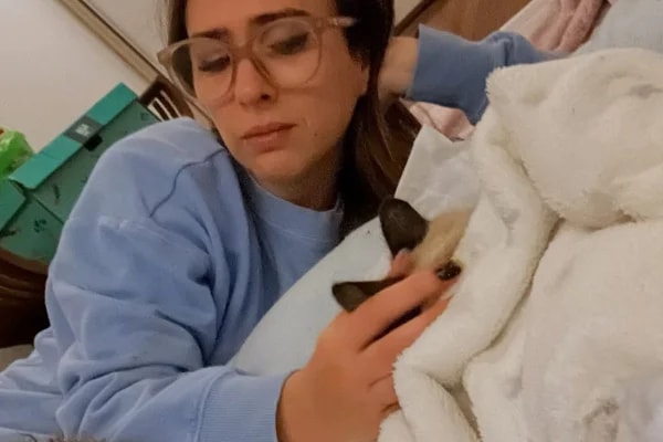 Tatá Werneck revela morte de gato e faz desabafo emocionante; leia