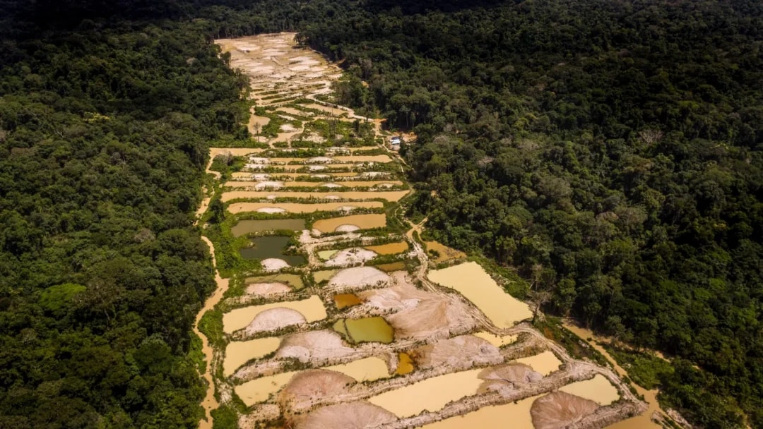 Garimpo ilegal no Amazonas: MPF pede que Justiça obrigue órgãos a atuar de forma integrada