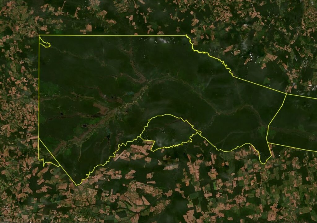 Projetos da Amazônia fortalecem proteção territorial e geram renda aos indígenas
