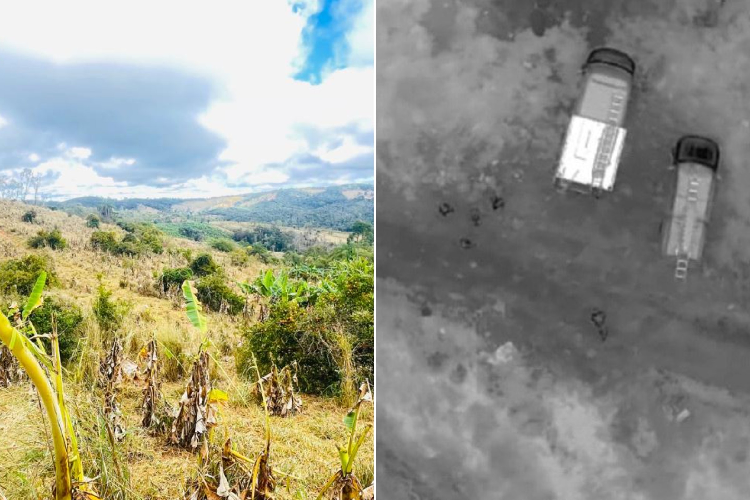 Mulher de 95 anos desaparece em mata e mobiliza buscas em MG