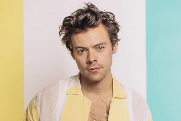 Tecladista de Harry Styles grava vídeo em português após cancelamento
