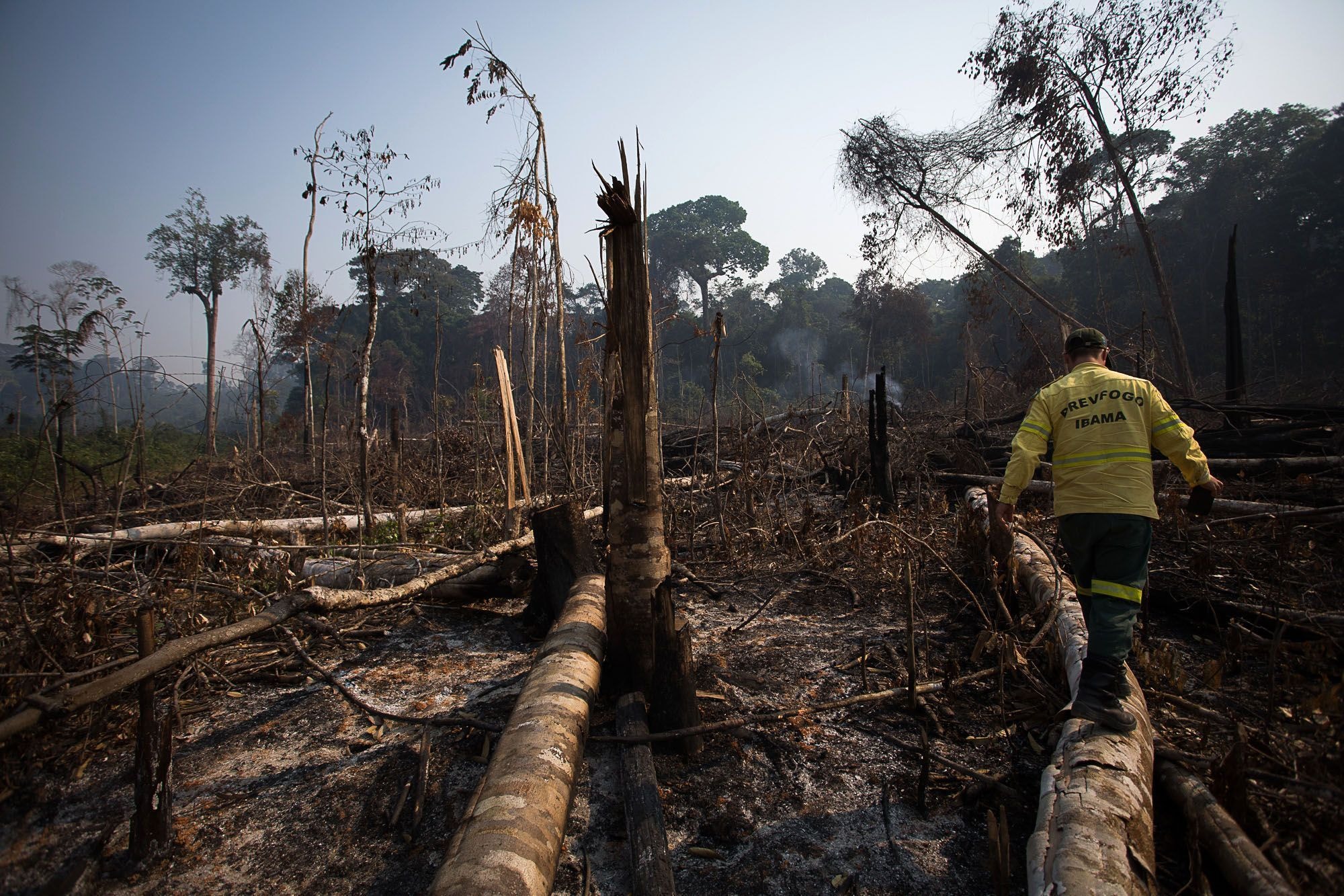 Paraguai e Argentina recebem avaliação de baixo risco ambiental da UE