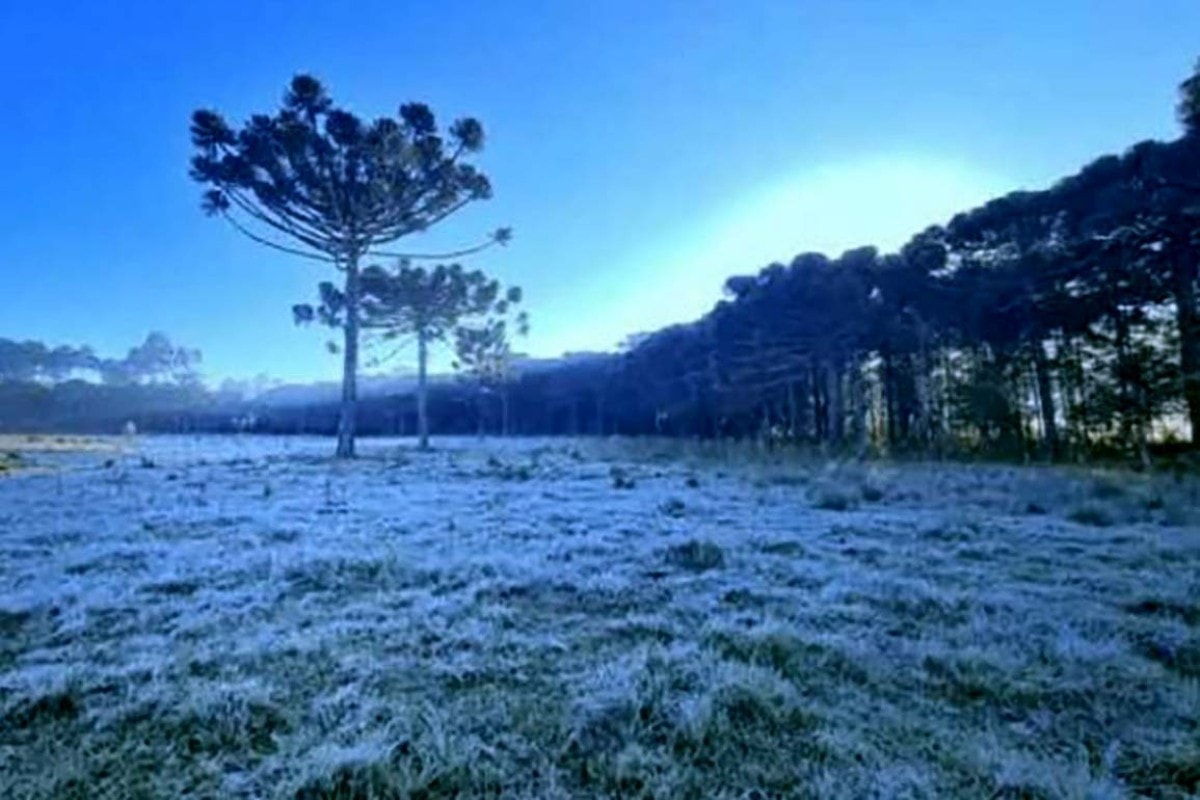Serra de SC registra -5,7°C e outras 19 cidades ficam abaixo de 0ºC