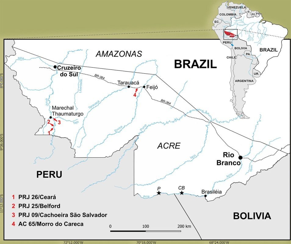 Registro de fósseis sugere duas novas espécies de macacos que viveram na Amazônia brasileira