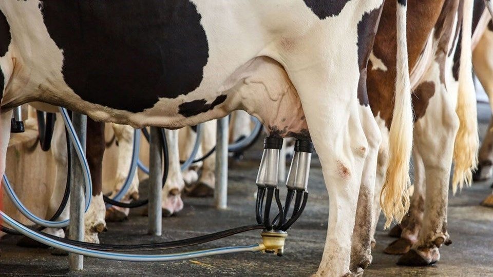 Governo investe R$ 150 milhões para sociobioeconomia na Amazônia