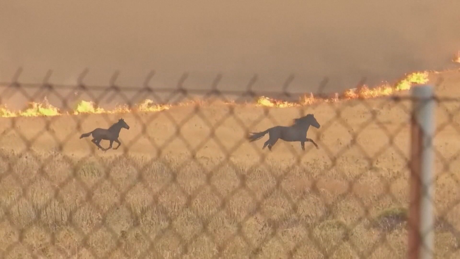 Onda de calor atinge Península Coreana e leva a medidas de emergência