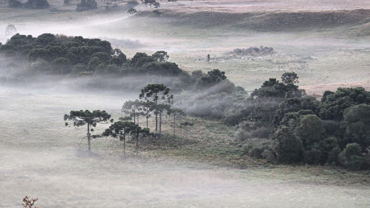 Chuva forte e risco de geada: como fica o tempo no Brasil nesta quarta (16)