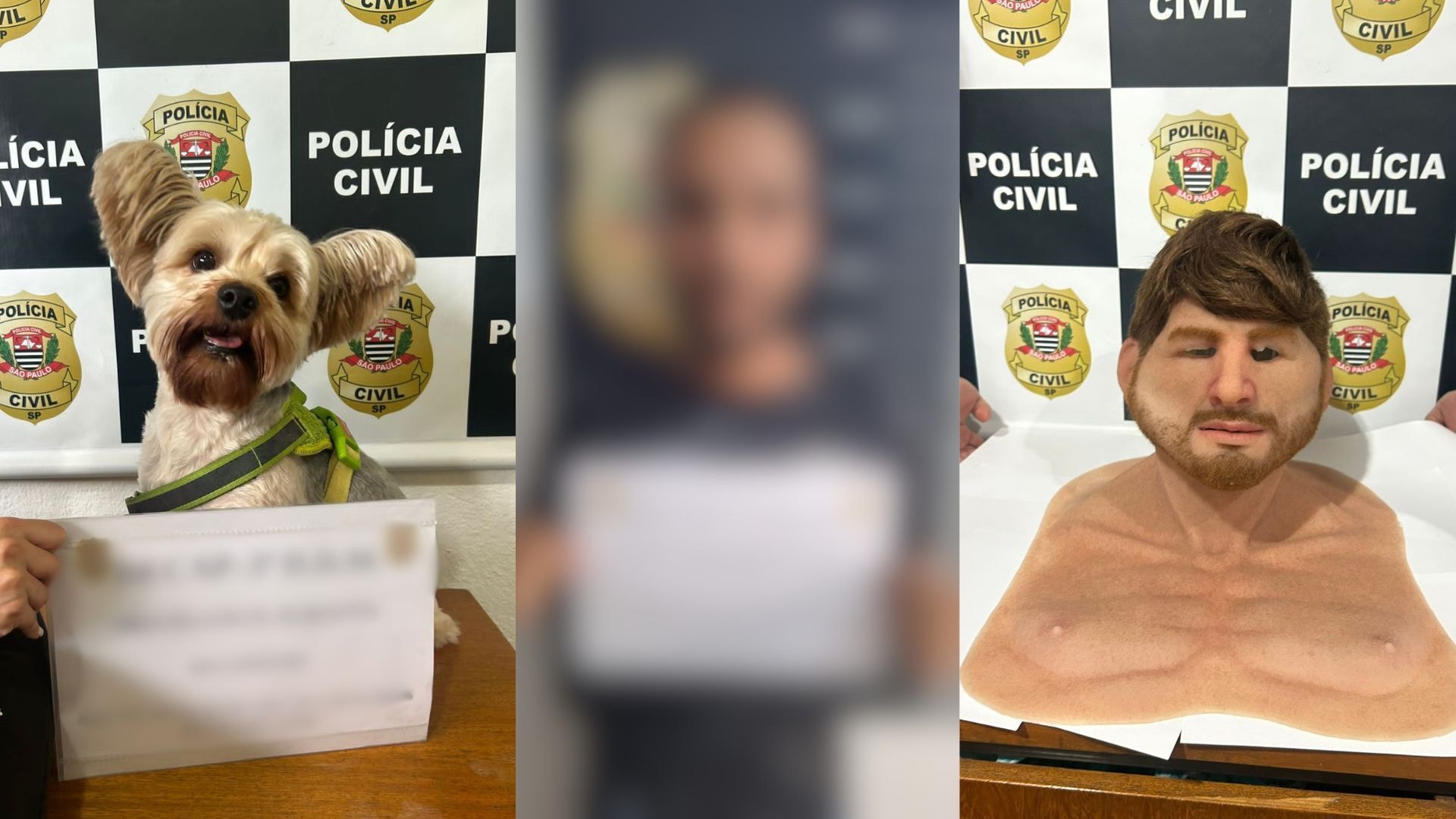 Tutora de buldogue que comeu pedra de crack é solta após audiência em SC