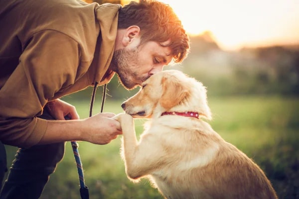 Mulheres desenvolvem vínculos mais fortes com seus pets, aponta estudo