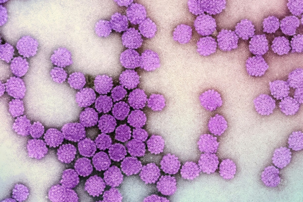 Nova injeção contra hepatite B elimina vírus em até 20% dos casos