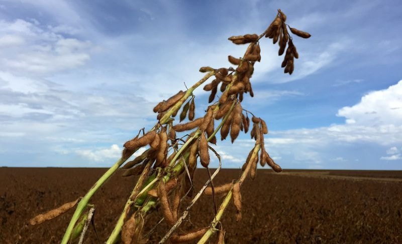 Secretário de MG: Geopolítica e clima são desafios para agro do estado