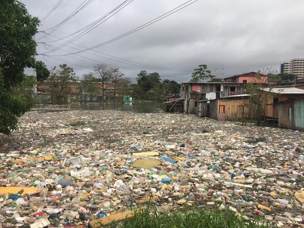 Zoonoses no Brasil se concentram em áreas vulneráveis e atingem mais indígenas, negros e pardos, aponta estudo