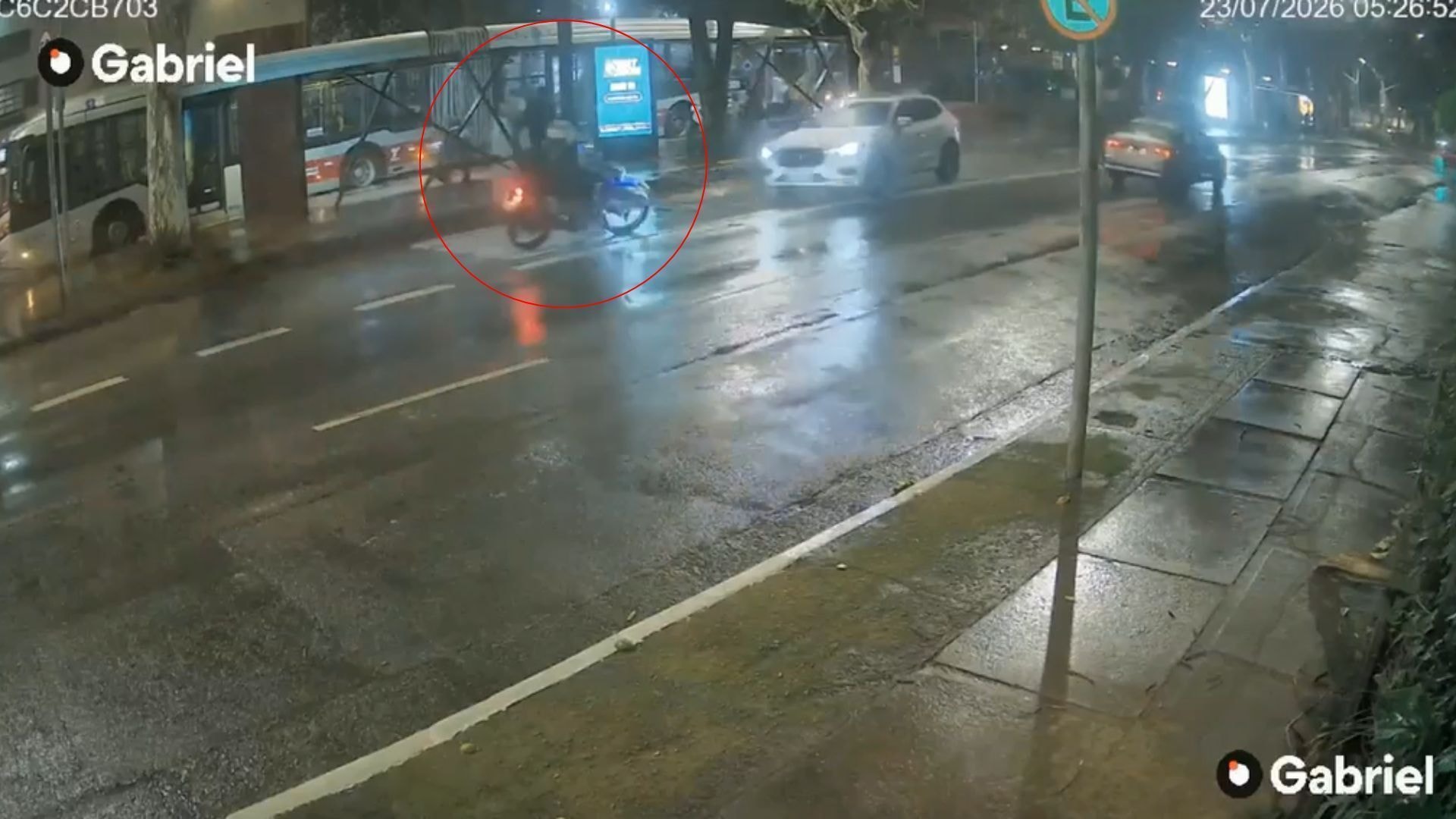 Vídeo: DJ Dani Brasil atropela homem, arrasta vítima e tenta fugir em SP