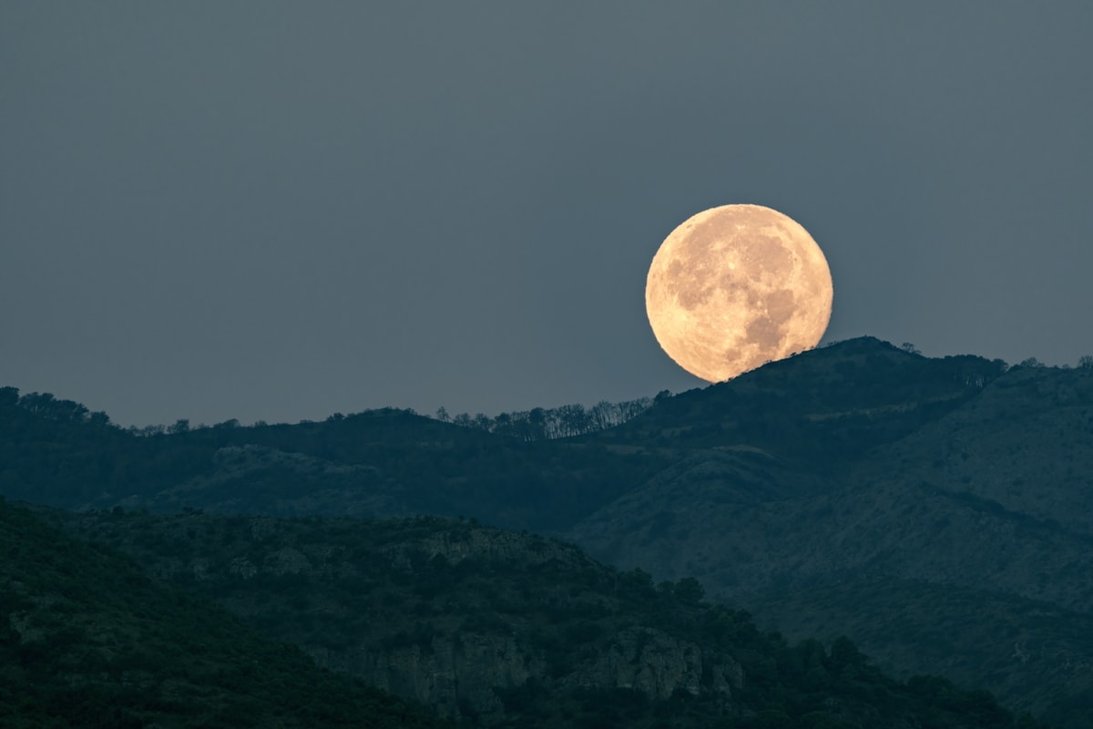 "Lua do veado" ocorre nesta quarta (29/7). Saiba o significado