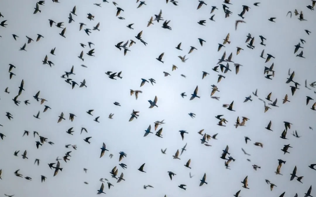 Durante ATL, IPAM apresenta novo sensor para monitorar qualidade do ar