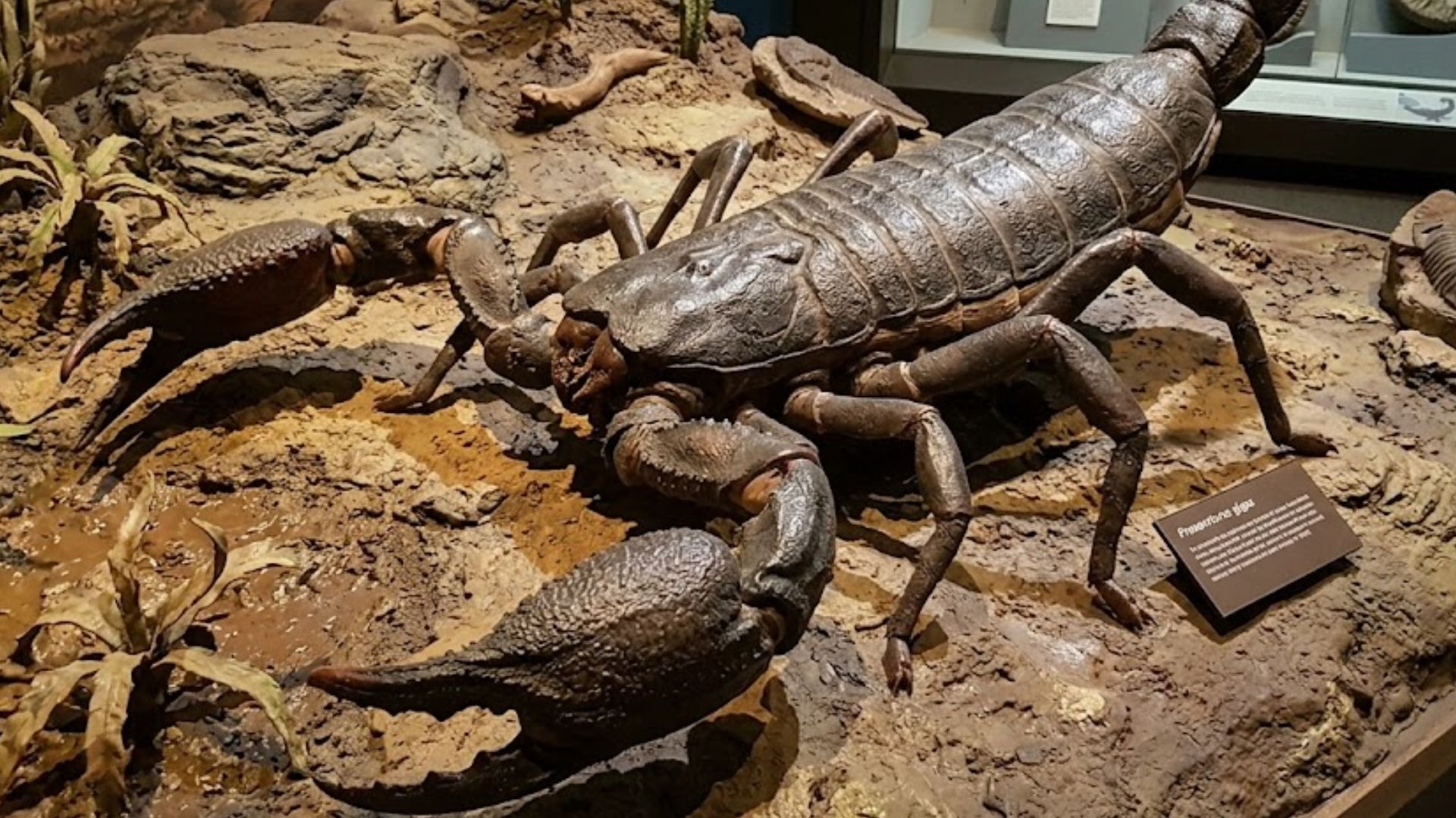 ‘Rato-cão’ gigante de 130 milhões de anos vivia no Brasil na Formação Botucatu, descobrem cientistas