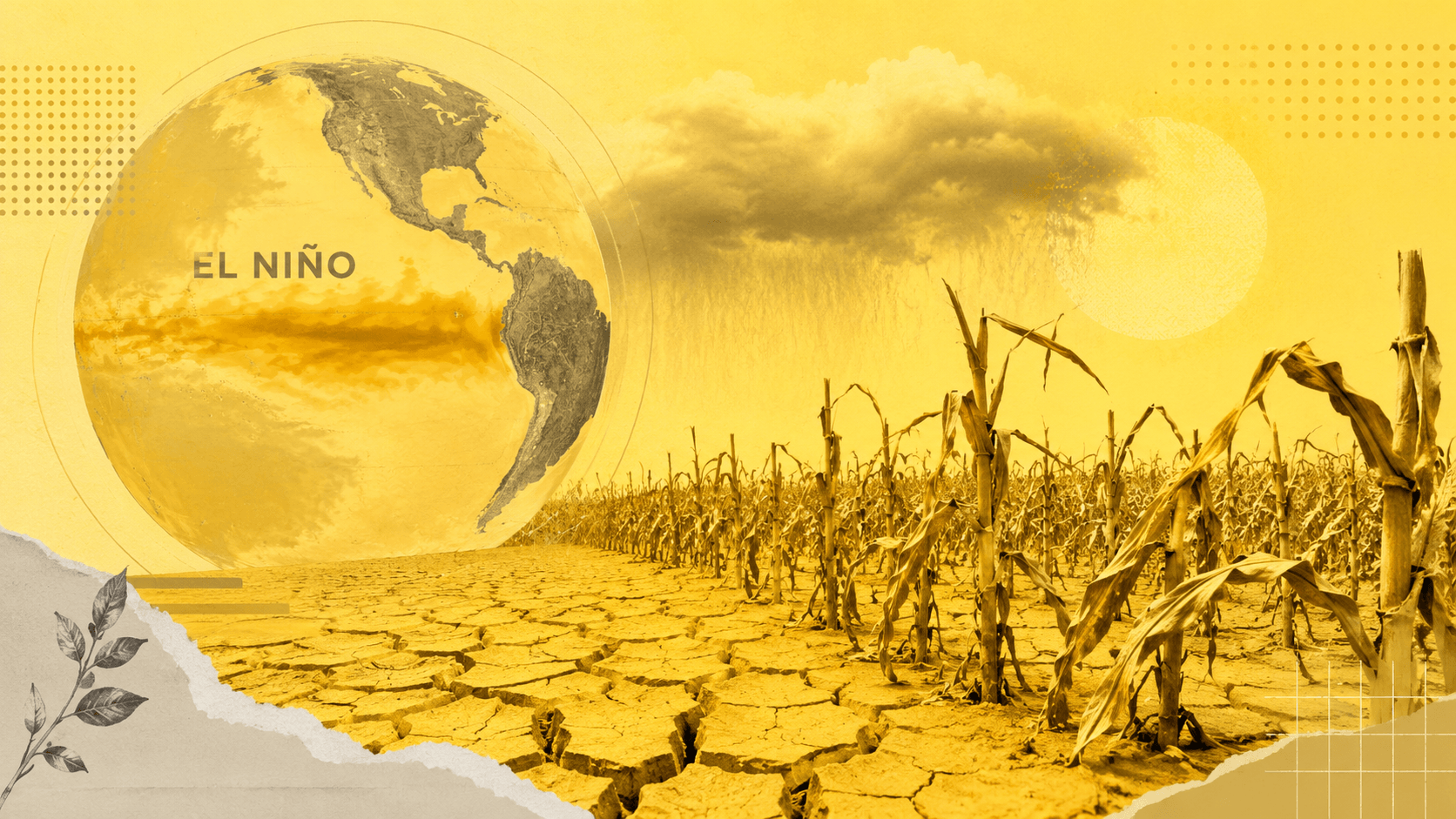 Proagro tem redução de R$ 1 bi no orçamento de 2027