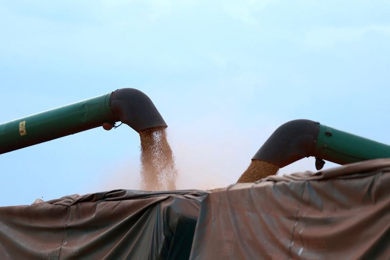 China sinaliza cortes de tarifas e maior acesso ao mercado agrícola dos EUA
