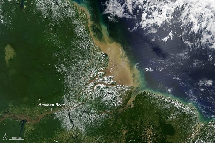 Artigo aponta que pluma do rio Amazonas altera química do Oceano Atlântico e favorece absorção de CO₂
