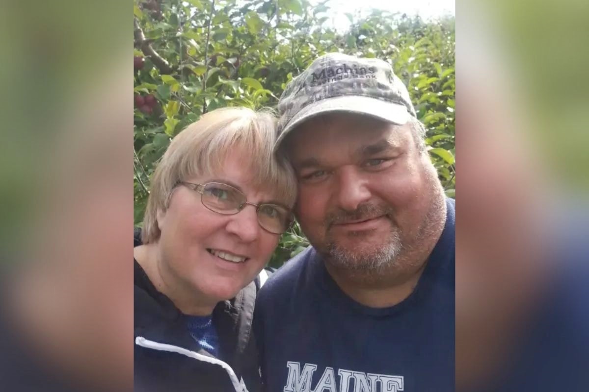 Casal salva filhote de alce após conseguir despistar urso em estrada