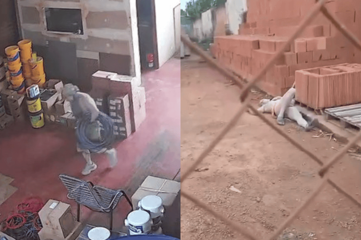 Por um fio: ladrão desmaia após ser atacado por cão em tentativa de furto