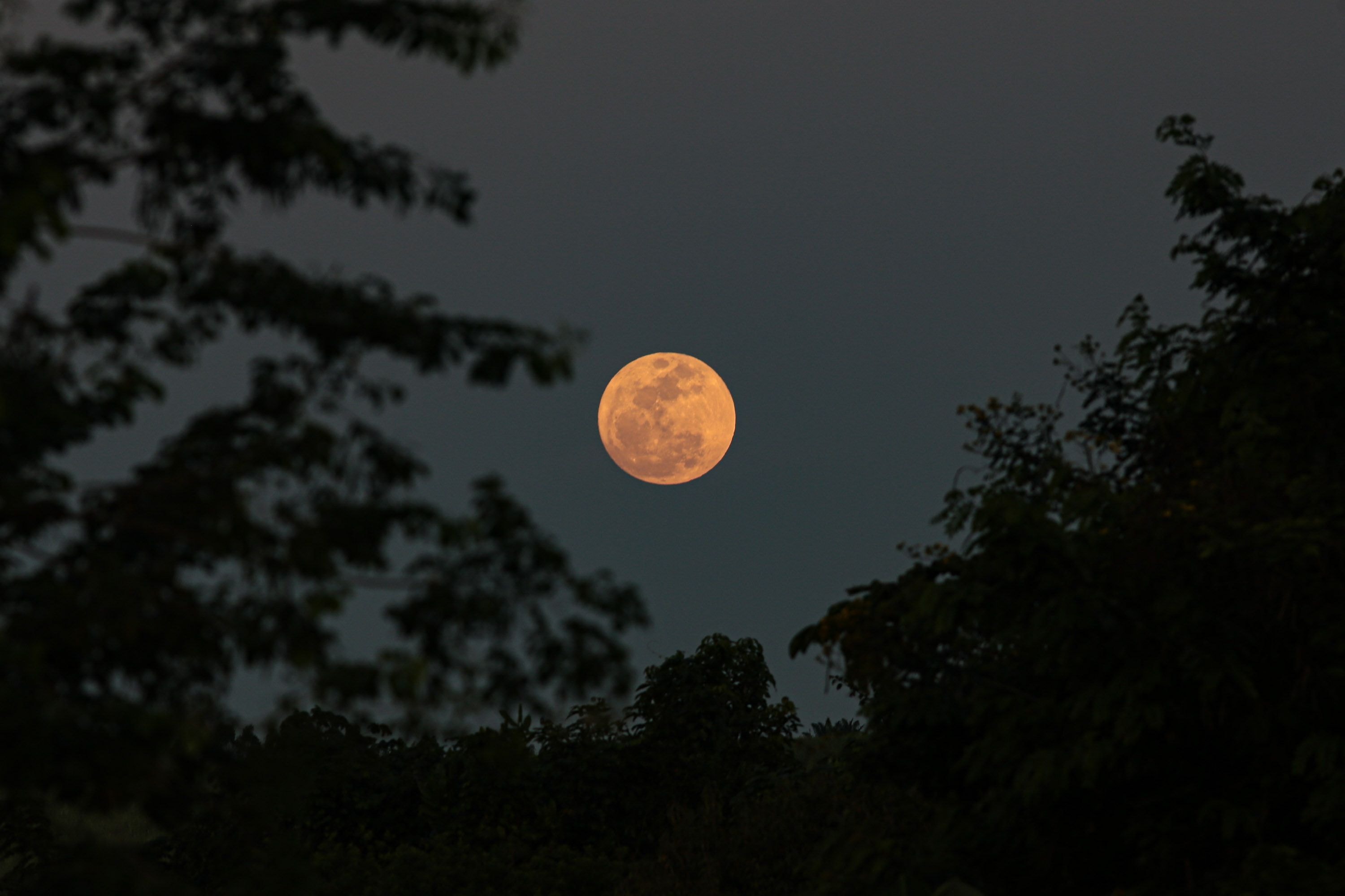 Lua azul poderá ser vista nesta madrugada Brasil; saiba como observar