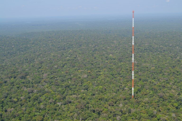 El Niño: pesquisadores identificam calor intenso e redução de chuva em área preservada na Amazônia