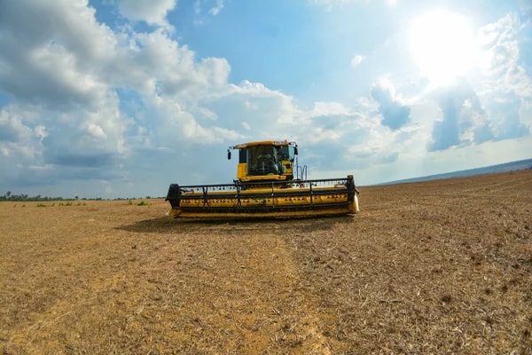 El Niño tem 90% de chance de ser "muito forte" no Brasil durante primavera