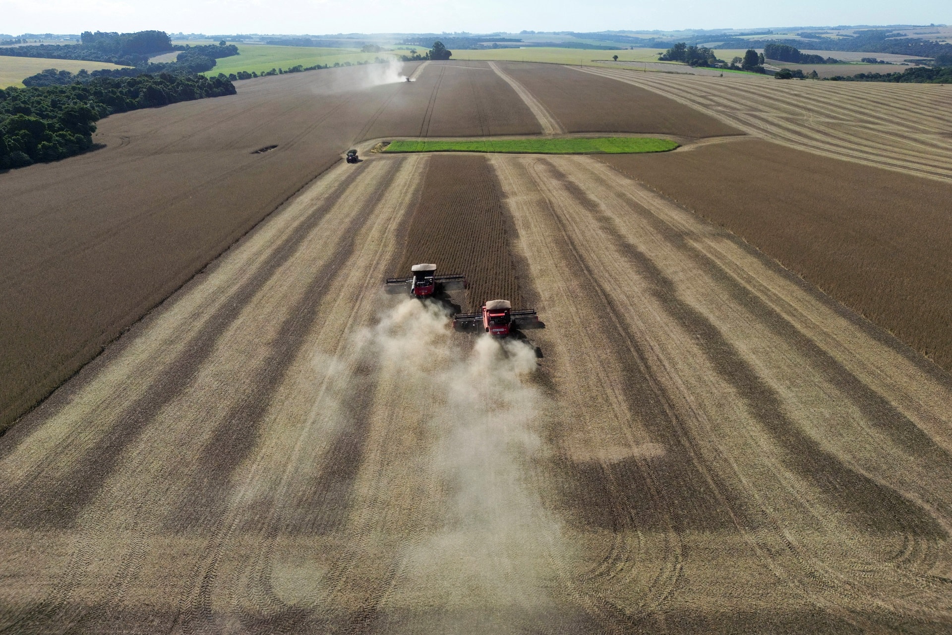 O agro quebra mais que qualquer outro setor — e não é por causa da safra
