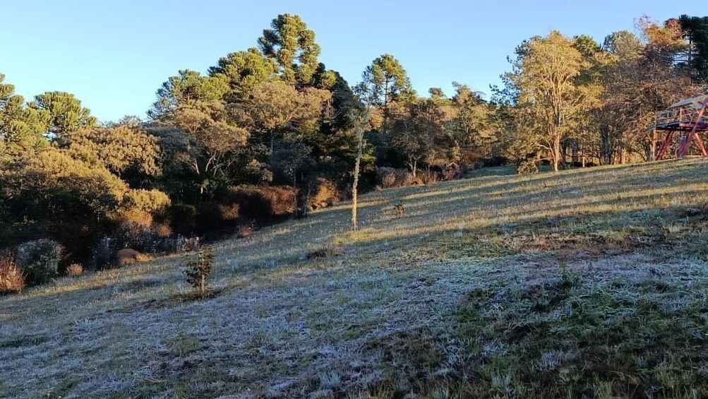 Cidade na serra catarinense registra menor temperatura do ano: -6,7°C