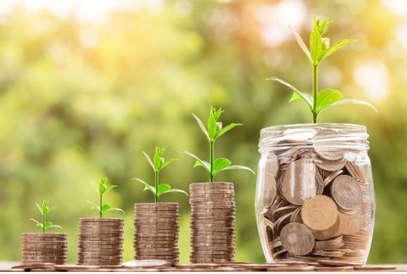Basf aposta em crédito digital e fidelização para ampliar vendas no agro