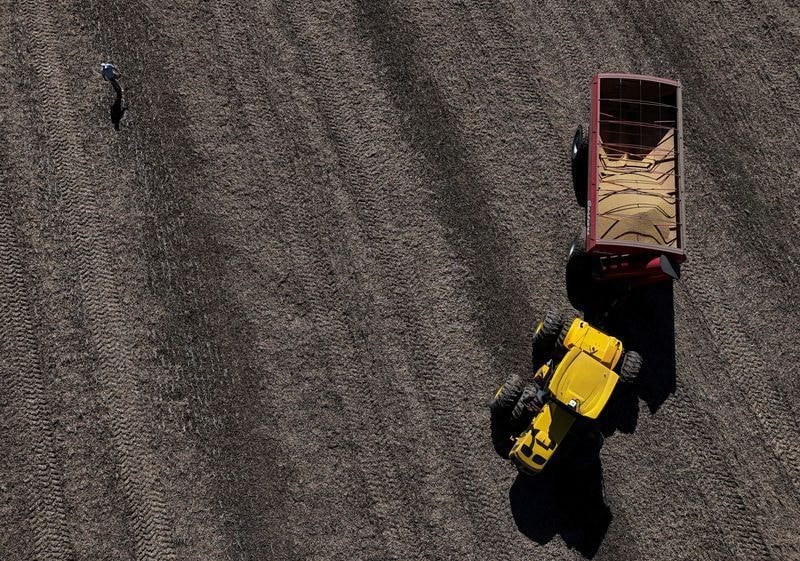 Mercado de alimentos da Amazônia cresce com produção sustentável