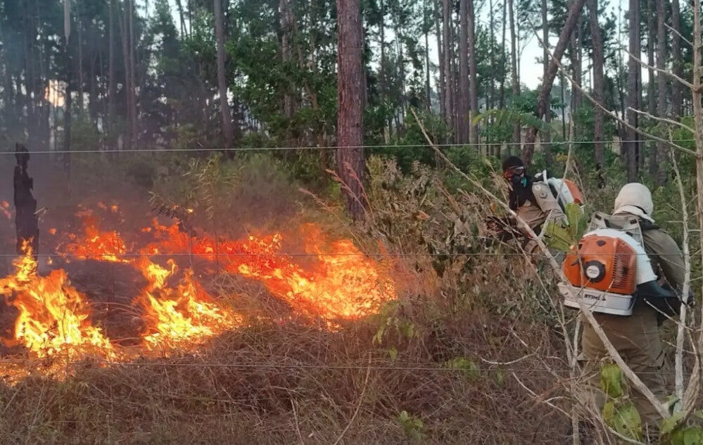 Ibama registra 124 acionamentos por incêndios no Amapá e alerta para extensão da seca pelo El Niño