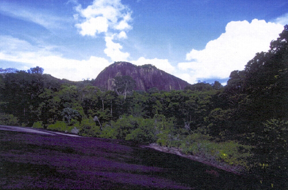#Série – Isso é Patrimônio Mundial: Suriname