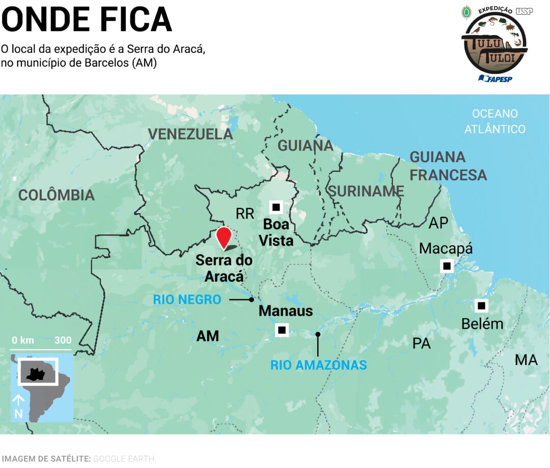 Expedição científica estuda fauna e flora na Serra do Aracá, no norte do Amazonas