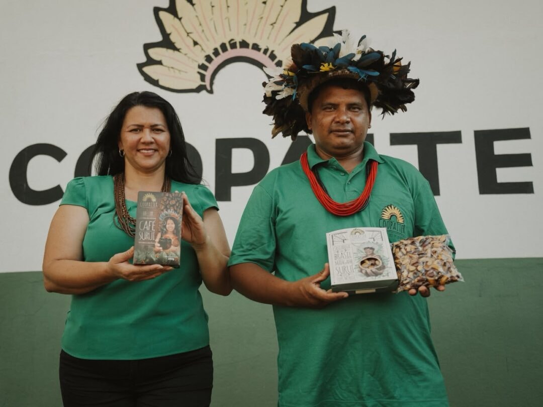 Mapeamento aponta avanço da bioeconomia na Amazônia e destaca desafios para ampliar impacto
